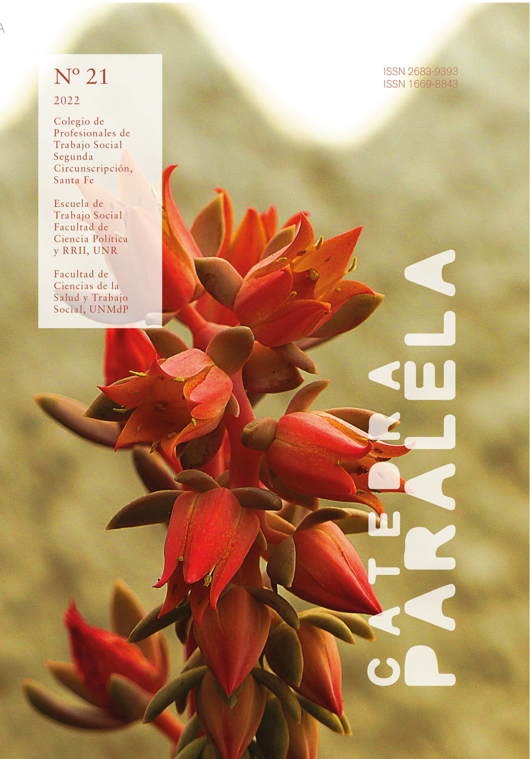 revista