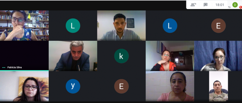 Imagen ilustrativa que muestra una de las clases virtuales de la diplomatura. Una captura de las personas en Google Meet.